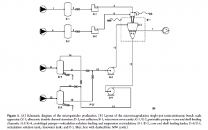 Schema impianto singlepot microparticelle