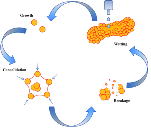 Figure 1. Formation mechanisms of the granules.