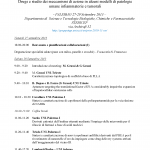 secondo-meeting-prin_pagina_1